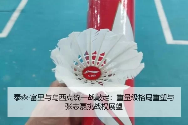 泰森·富里与乌西克统一战敲定：重量级格局重塑与张志磊挑战权展望
